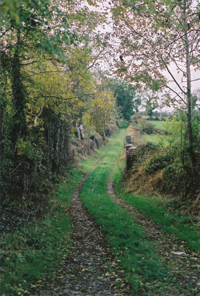 Lane to Liscalgot