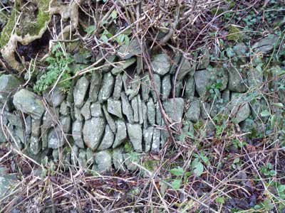 Cavananore stones