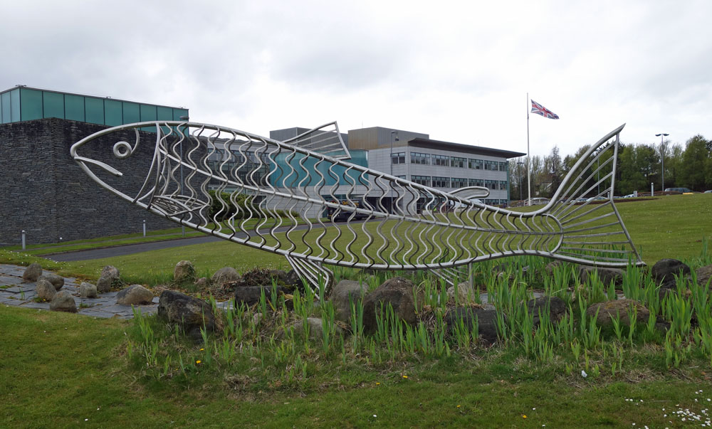 Coleraine Fish