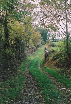 Lane behind Urker