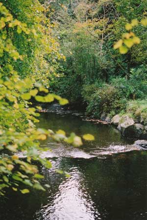 View from bridge behind Creggan Church
