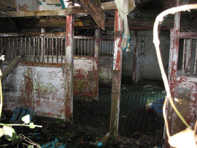 Urker Lodge stables