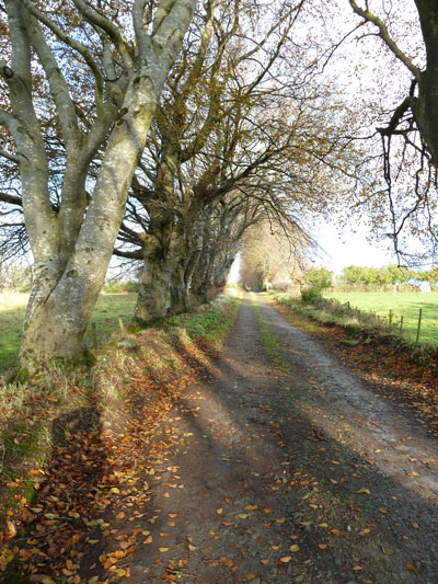 Lane from Monag Road