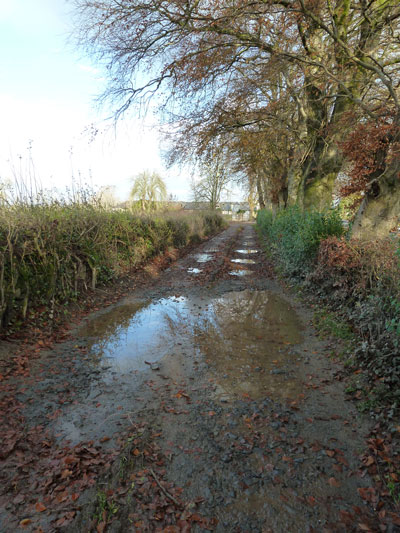 Lane to Monag