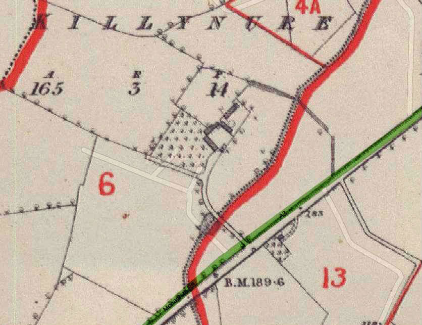 Killynure Griffiths